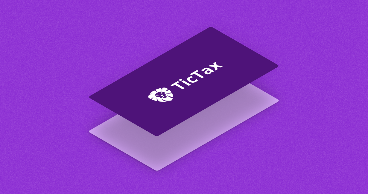 TicTax web UI - dashboard and tax overview