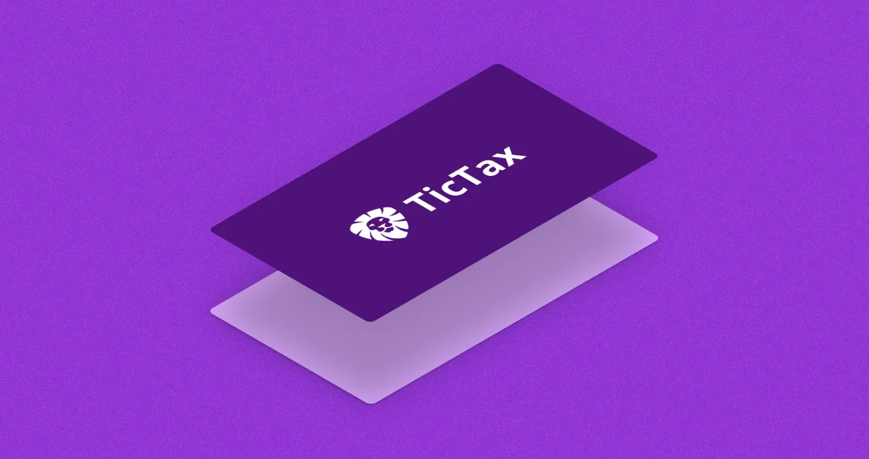 TicTax web UI - dashboard and tax overview